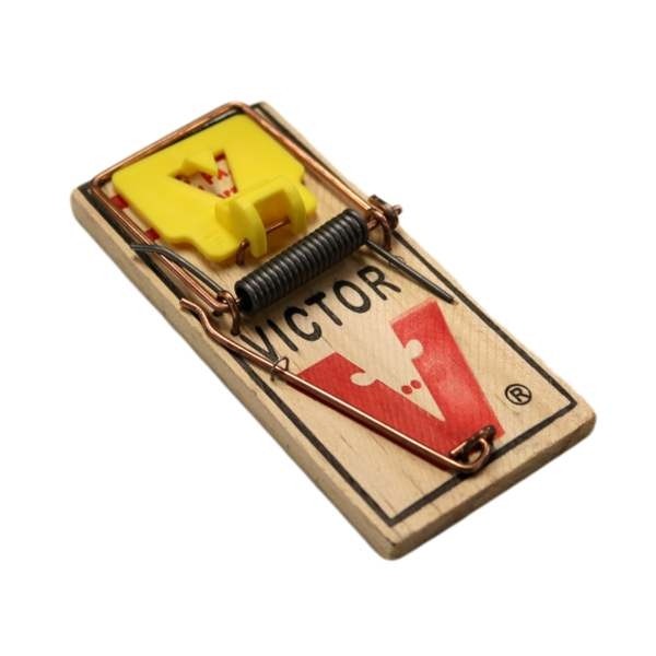 Detail Pic Mouse Trap Nomer 13