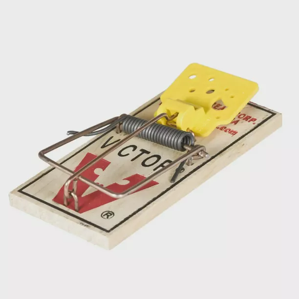 Detail Pic Mouse Trap Nomer 3