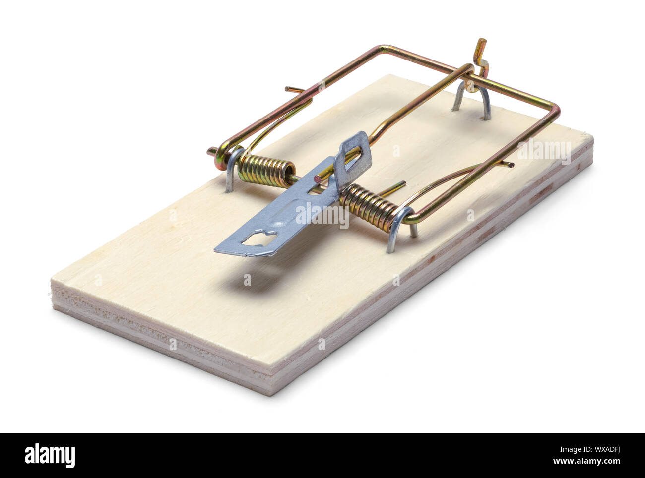 Detail Pic Mouse Trap How To Set Nomer 12