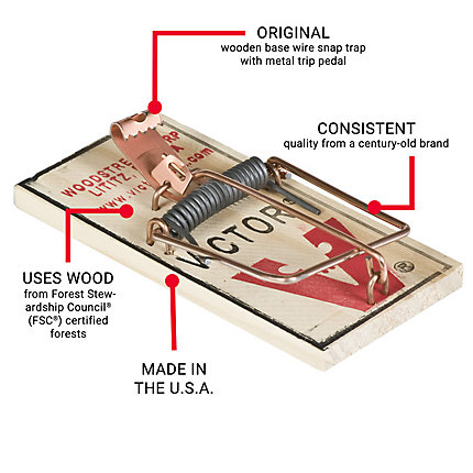 Detail Pic Mouse Trap How To Set Nomer 14