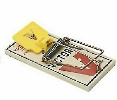 Detail Pic Mouse Trap How To Set Nomer 16