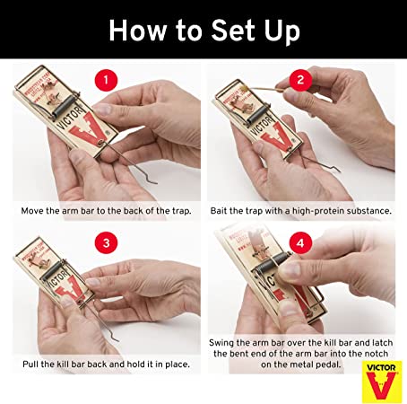 Detail Pic Mouse Trap How To Set Nomer 18