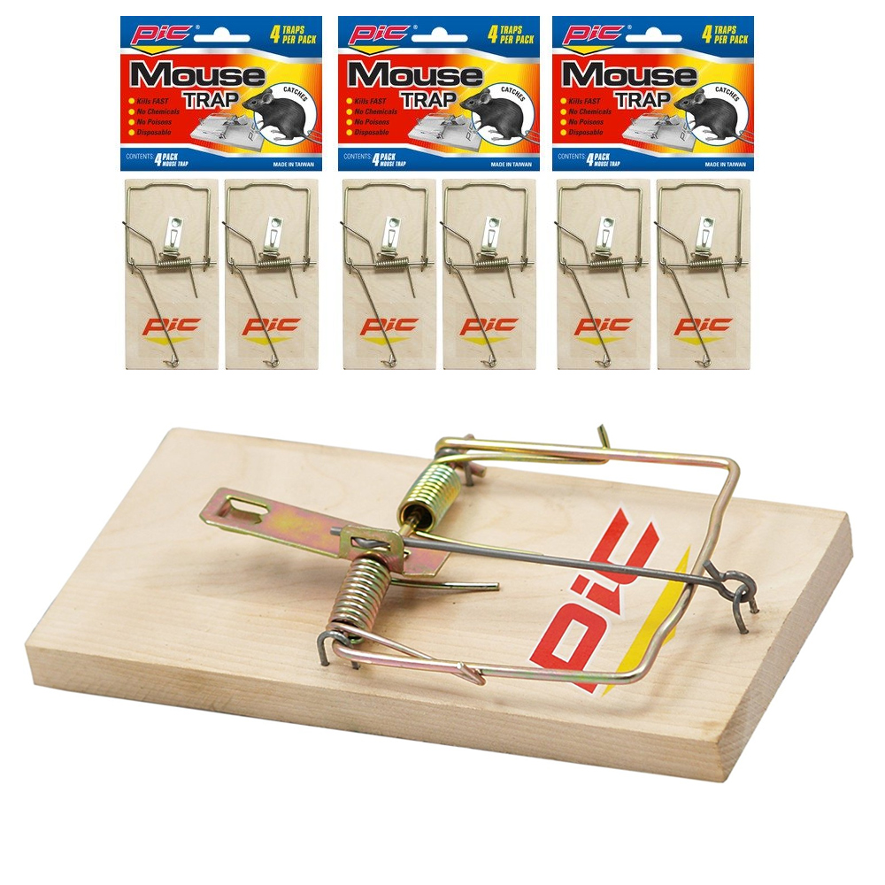 Detail Pic Mouse Trap How To Set Nomer 22