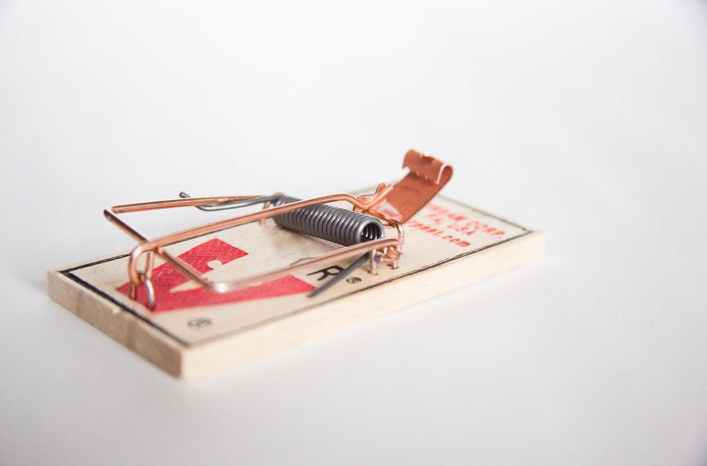 Detail Pic Mouse Trap How To Set Nomer 23