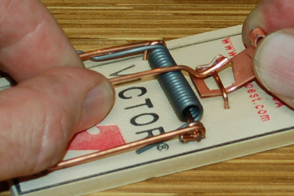 Detail Pic Mouse Trap How To Set Nomer 28