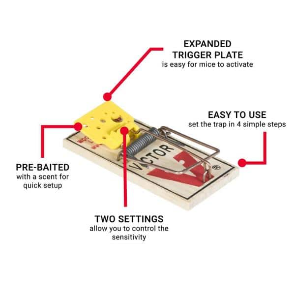 Detail Pic Mouse Trap How To Set Nomer 4