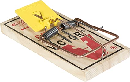 Detail Pic Mouse Trap How To Set Nomer 30