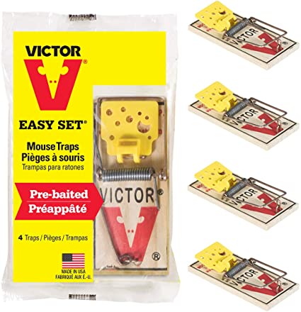 Detail Pic Mouse Trap How To Set Nomer 31