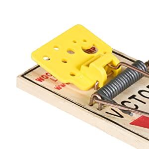 Detail Pic Mouse Trap How To Set Nomer 32