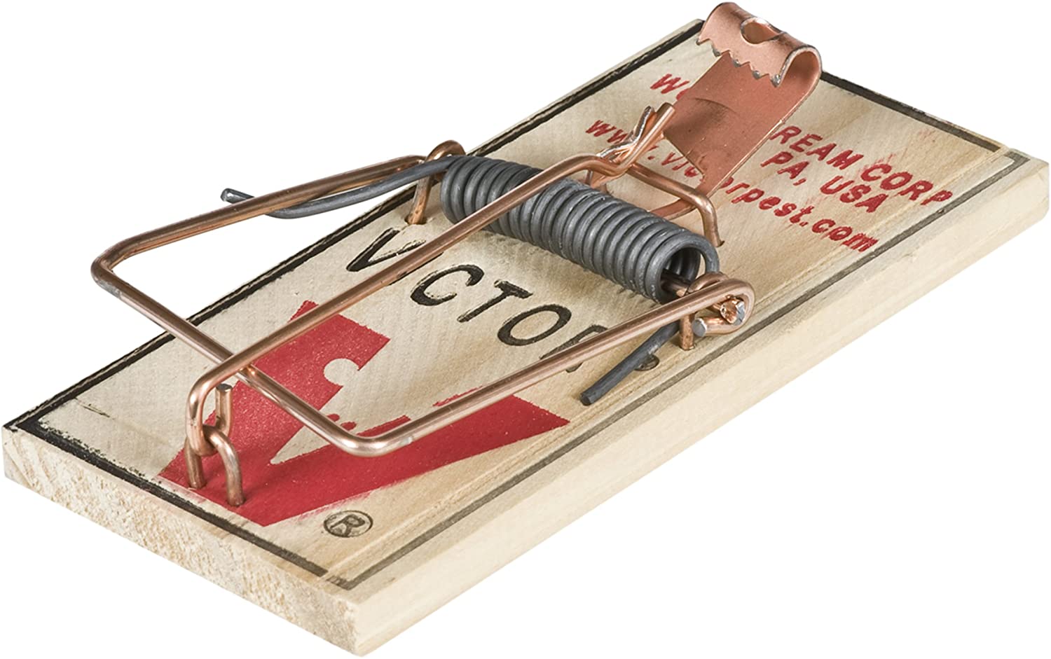 Detail Pic Mouse Trap How To Set Nomer 34