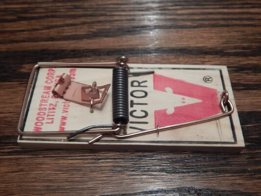 Detail Pic Mouse Trap How To Set Nomer 35