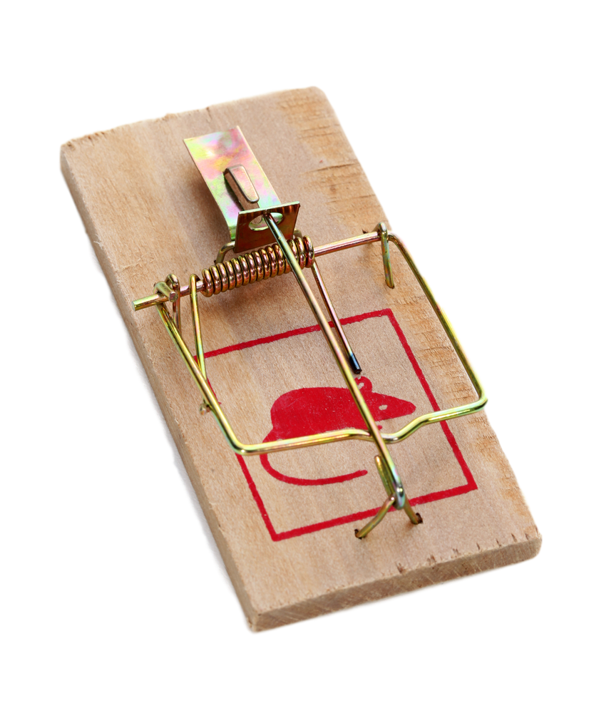 Detail Pic Mouse Trap How To Set Nomer 39