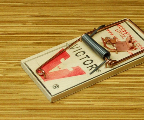 Detail Pic Mouse Trap How To Set Nomer 5