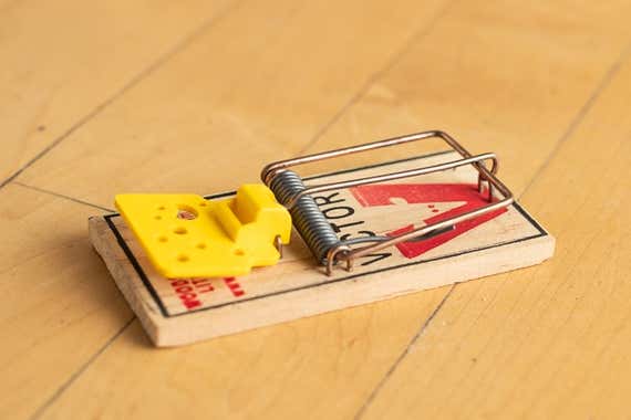 Detail Pic Mouse Trap How To Set Nomer 43