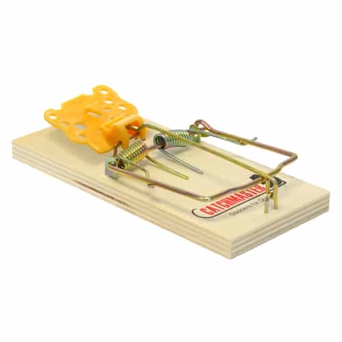 Detail Pic Mouse Trap How To Set Nomer 44