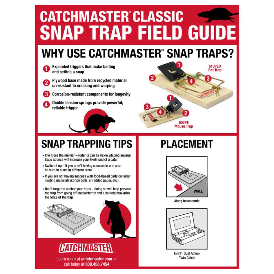 Detail Pic Mouse Trap How To Set Nomer 46
