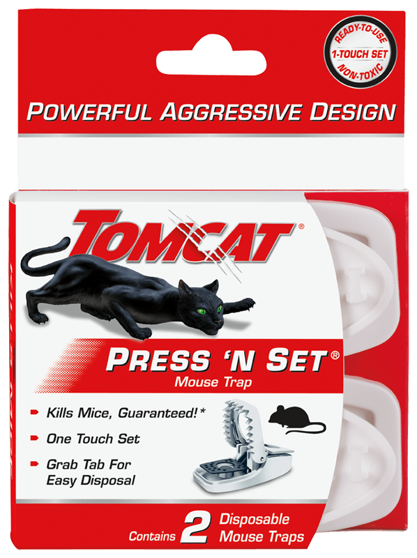 Detail Pic Mouse Trap How To Set Nomer 47