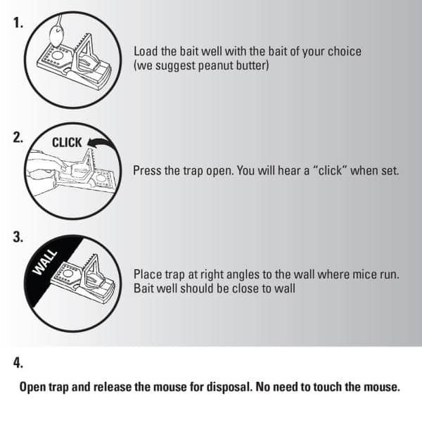 Detail Pic Mouse Trap How To Set Nomer 48