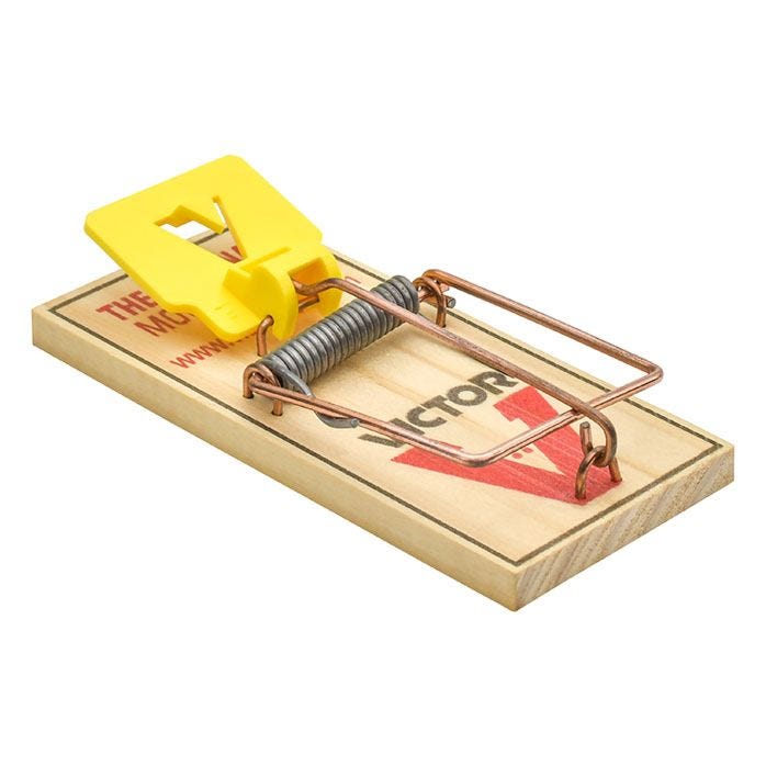 Detail Pic Mouse Trap How To Set Nomer 6