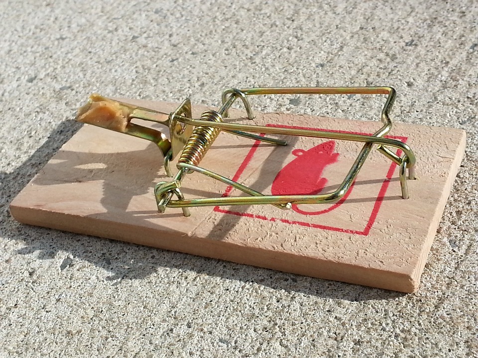 Detail Pic Mouse Trap How To Set Nomer 49