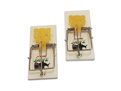 Detail Pic Mouse Trap How To Set Nomer 50