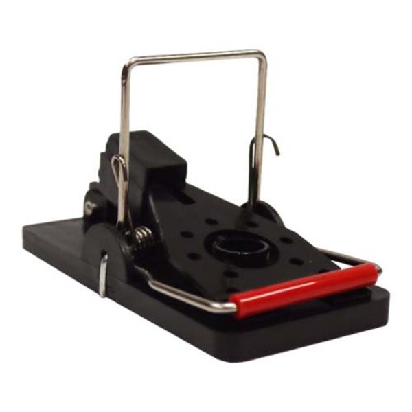 Detail Pic Mouse Trap How To Set Nomer 51
