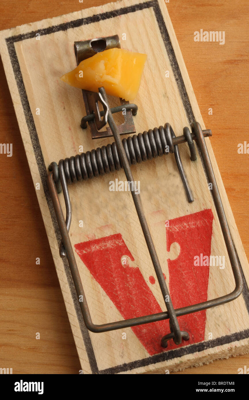Detail Pic Mouse Trap How To Set Nomer 52