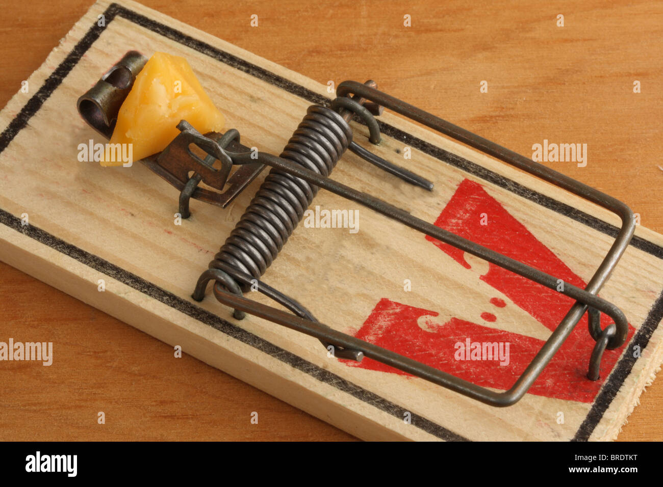 Detail Pic Mouse Trap How To Set Nomer 53