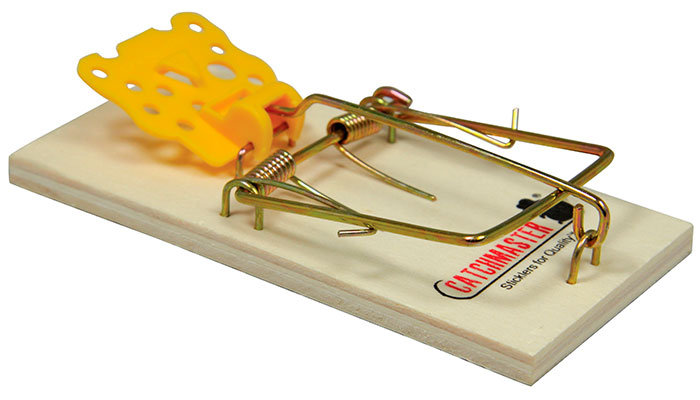 Detail Pic Mouse Trap How To Set Nomer 56