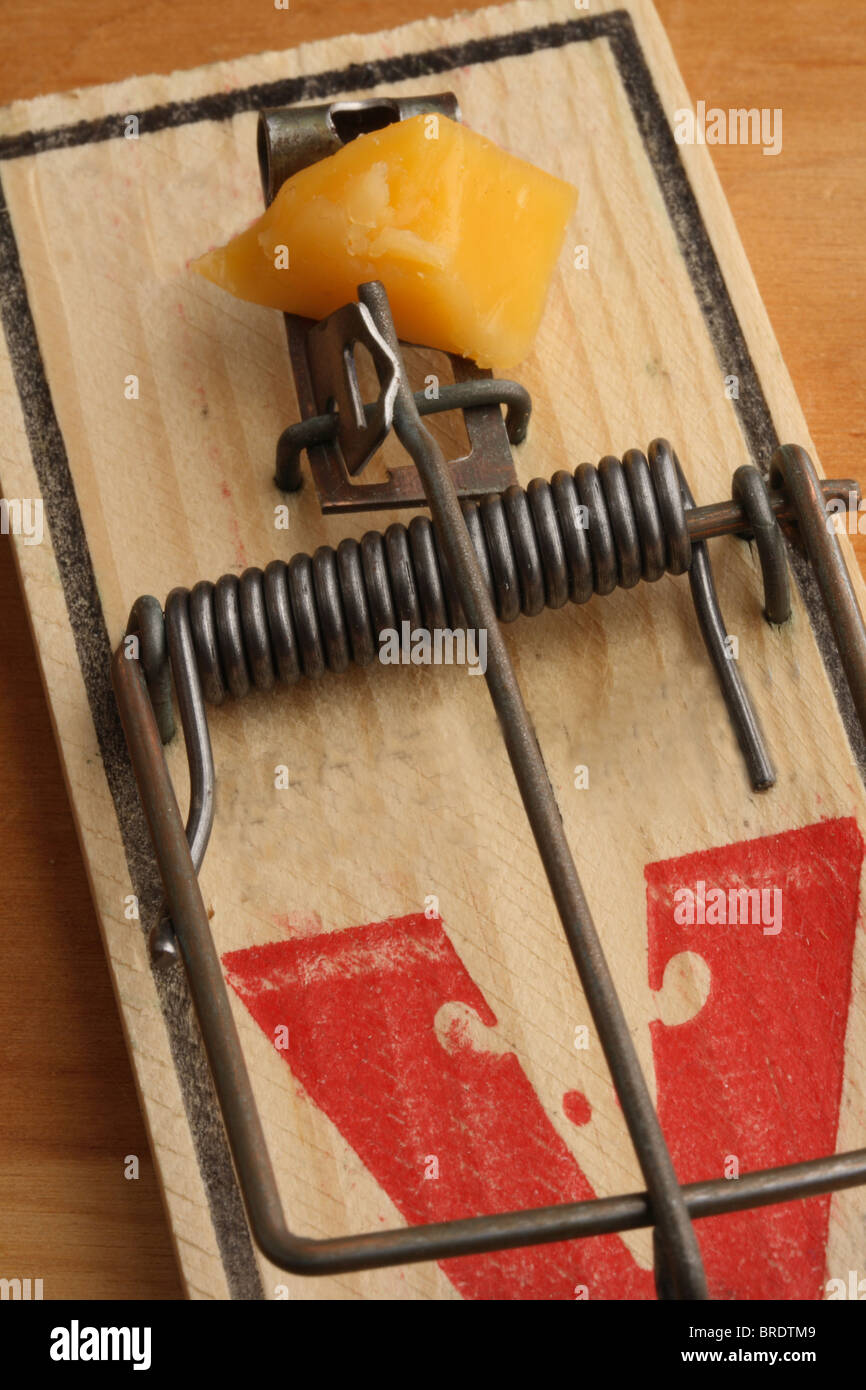 Detail Pic Mouse Trap How To Set Nomer 57