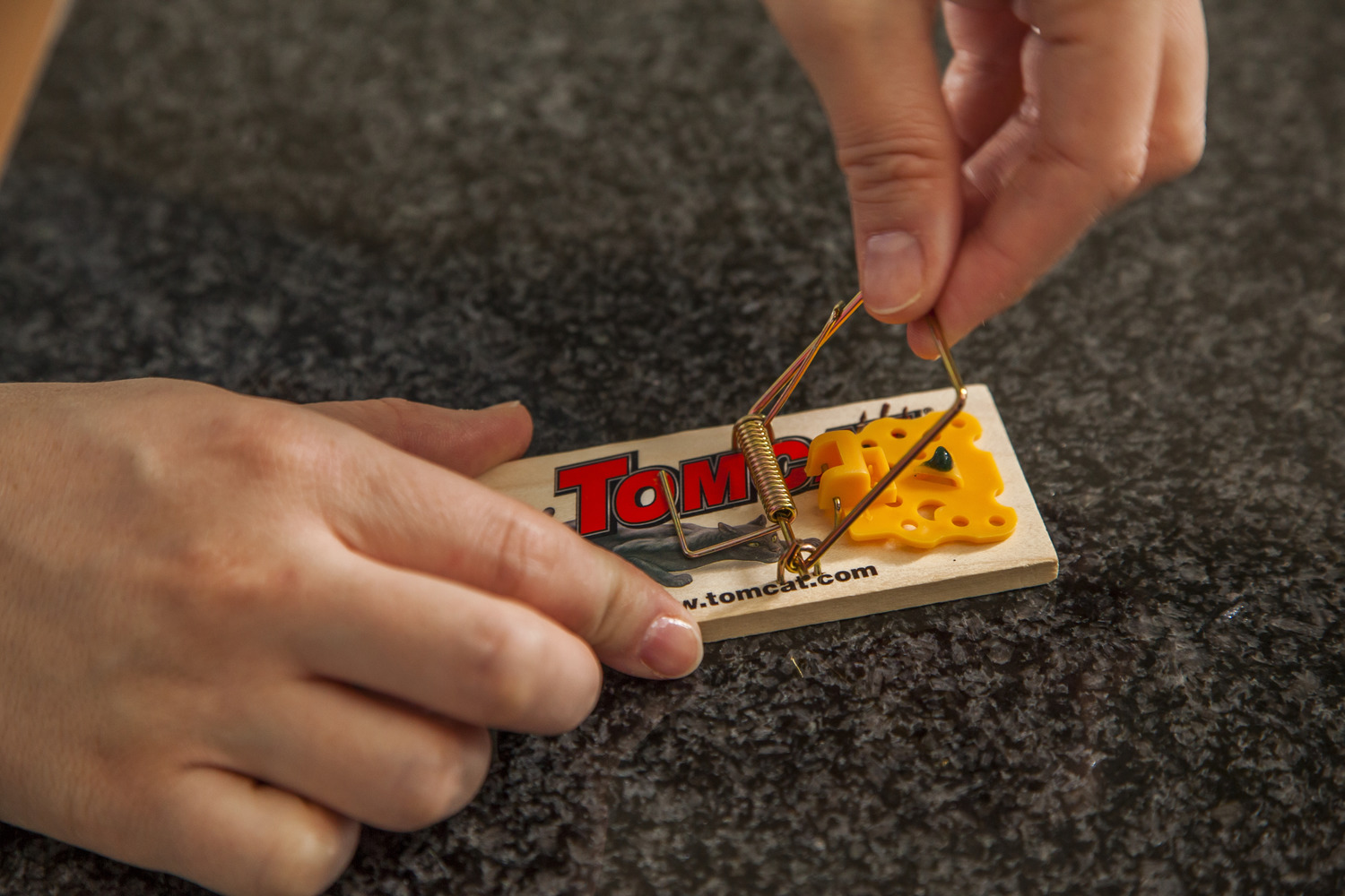 Detail Pic Mouse Trap How To Set Nomer 58