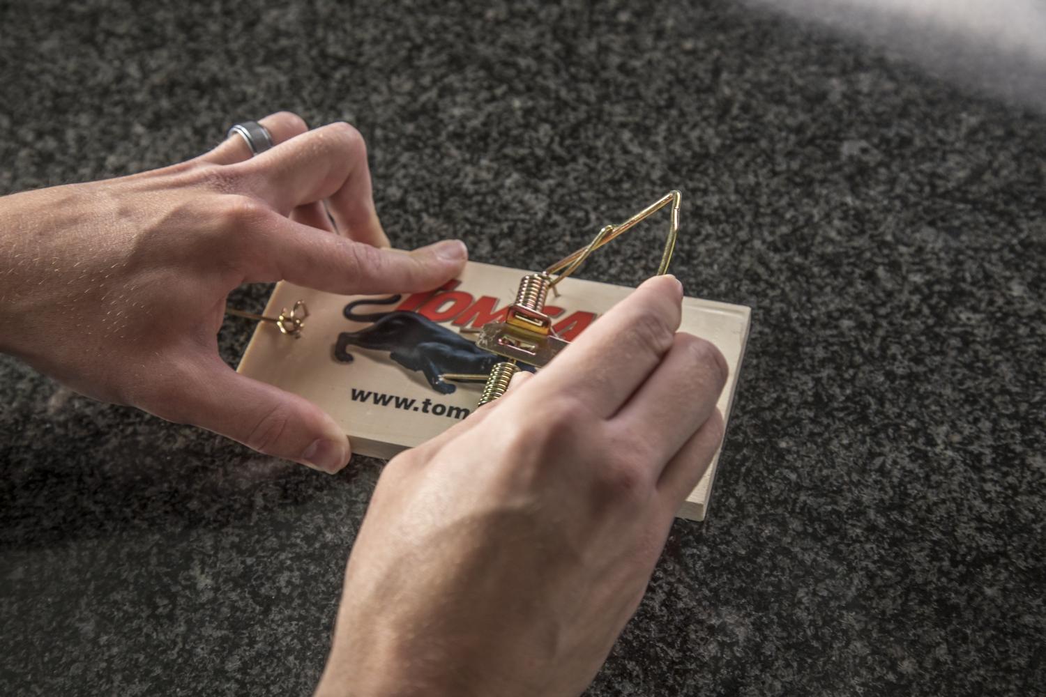 Detail Pic Mouse Trap How To Set Nomer 8