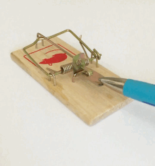 Detail Pic Mousetrap Nomer 11