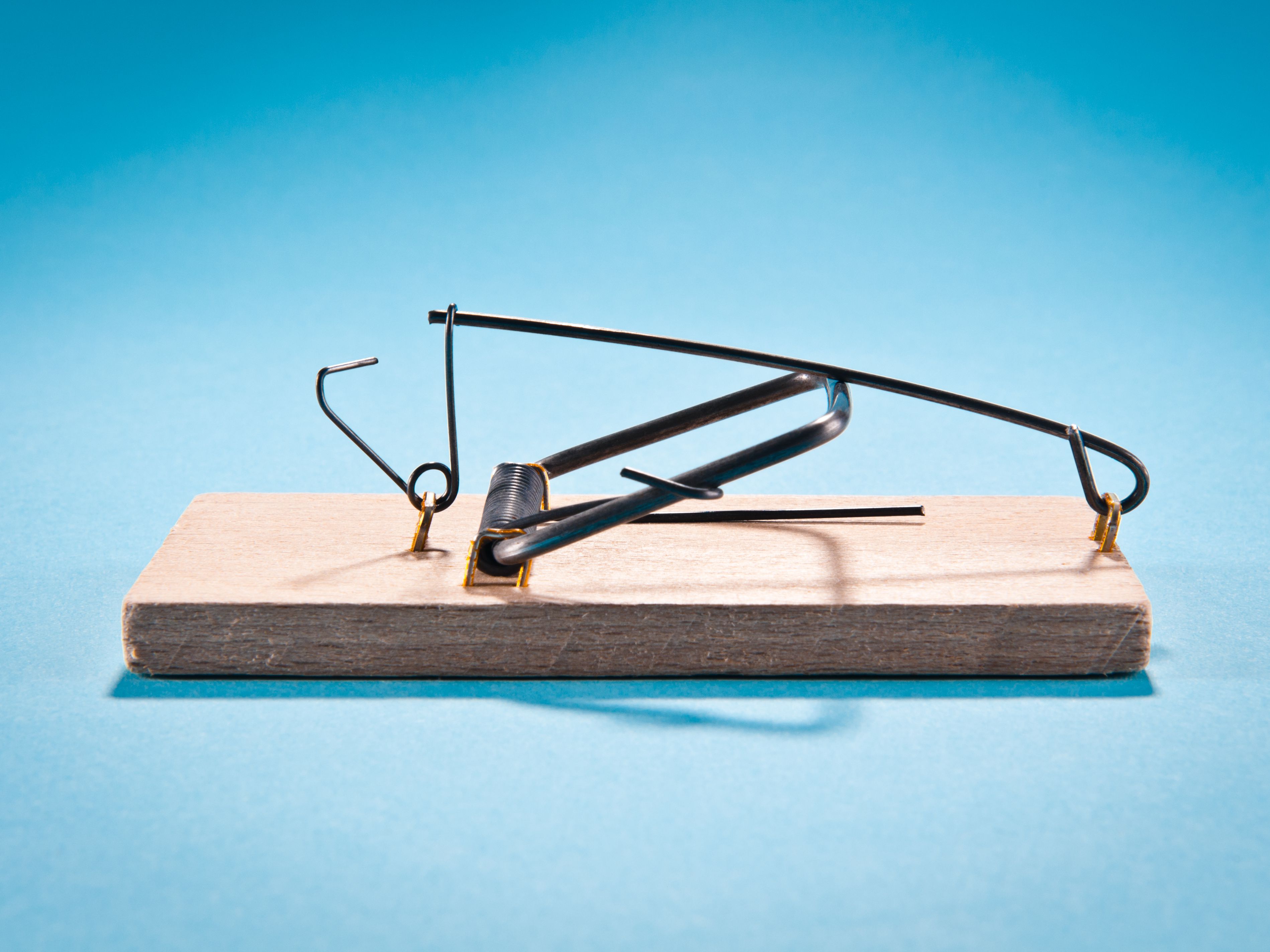 Detail Pic Mousetrap Nomer 12