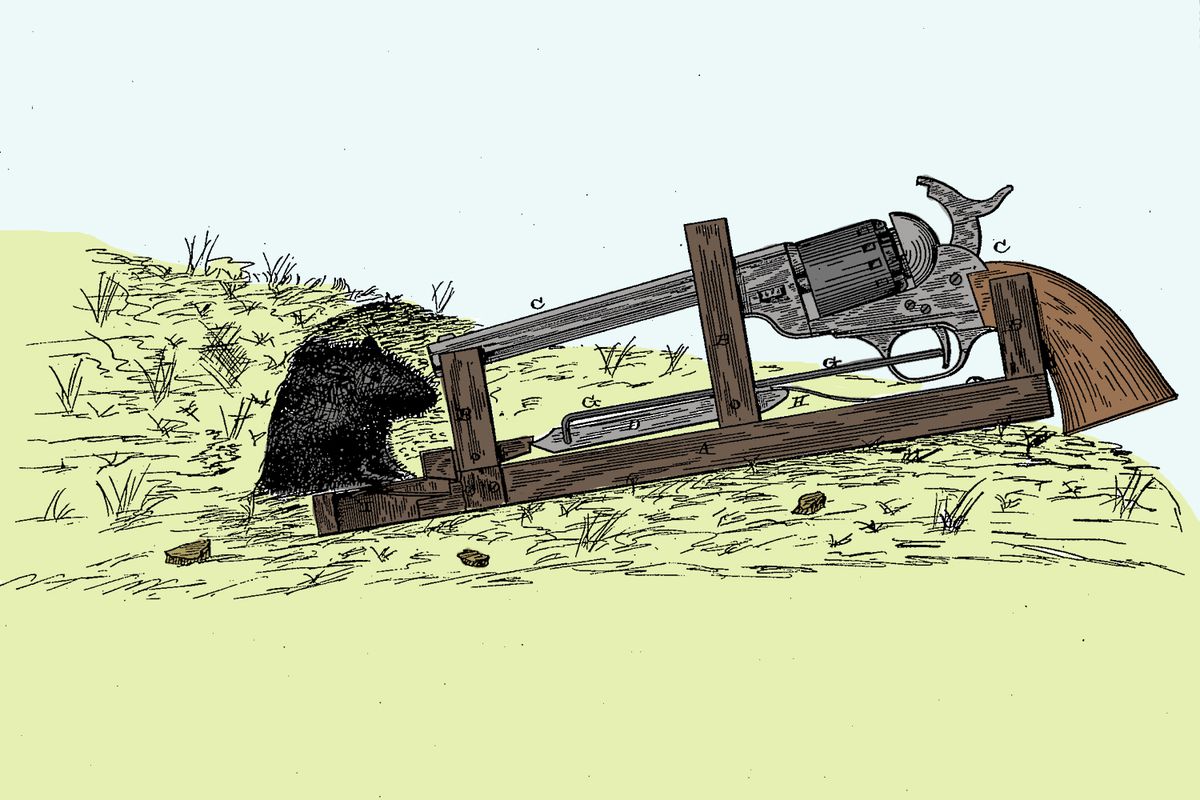 Detail Pic Mousetrap Nomer 17