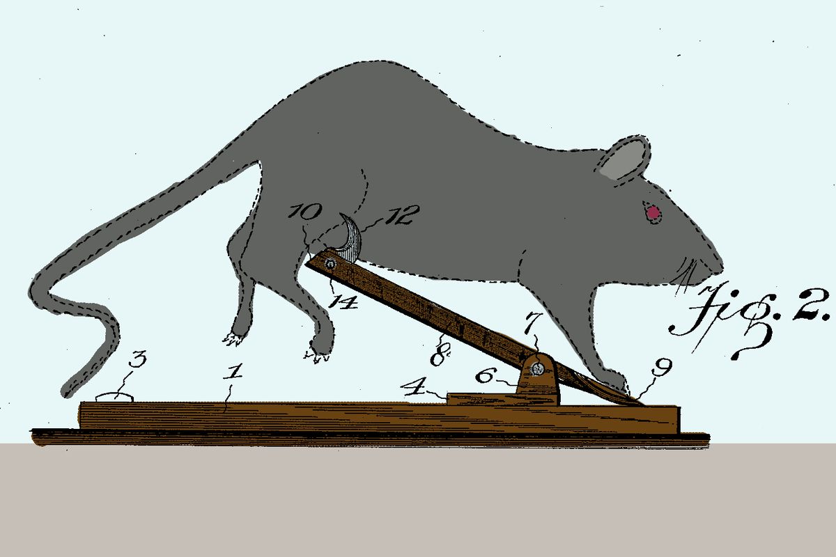 Detail Pic Mousetrap Nomer 24