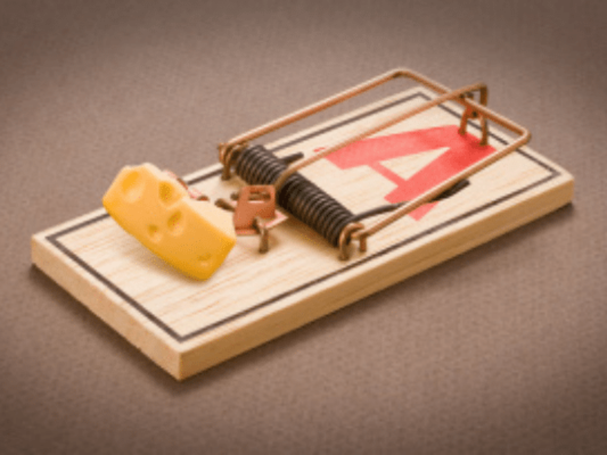 Detail Pic Mousetrap Nomer 4