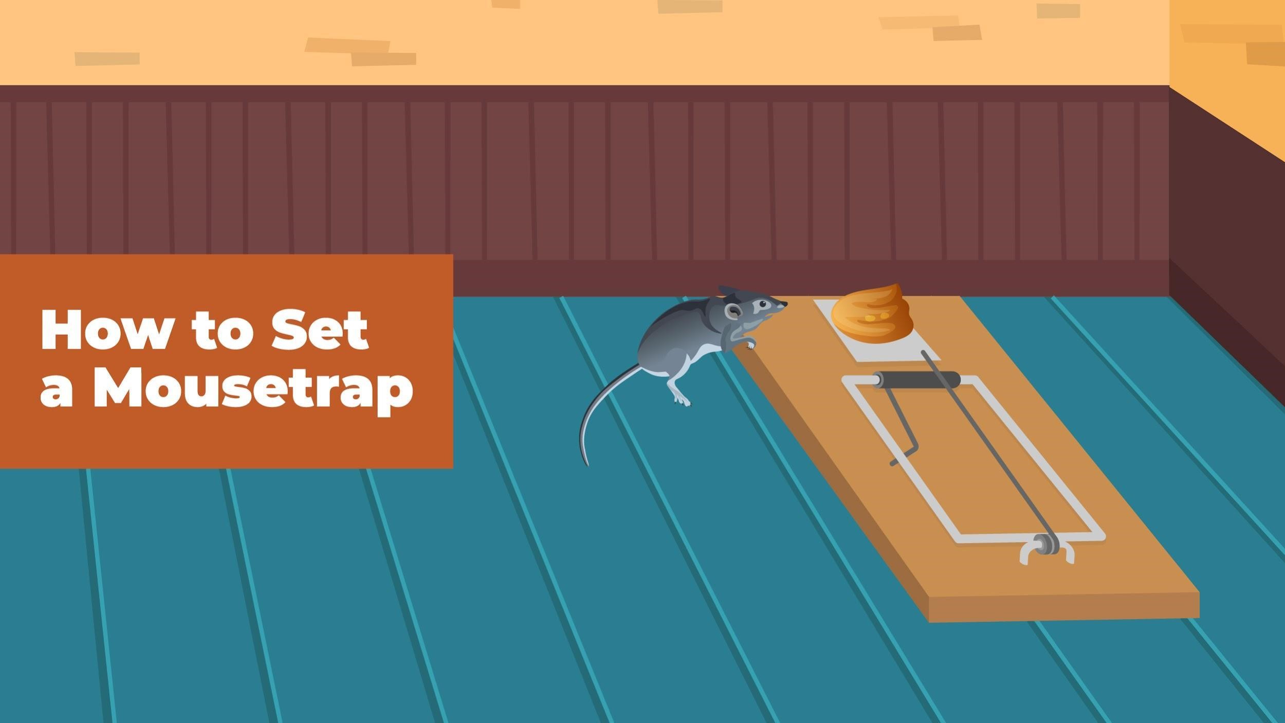 Detail Pic Mousetrap Nomer 30