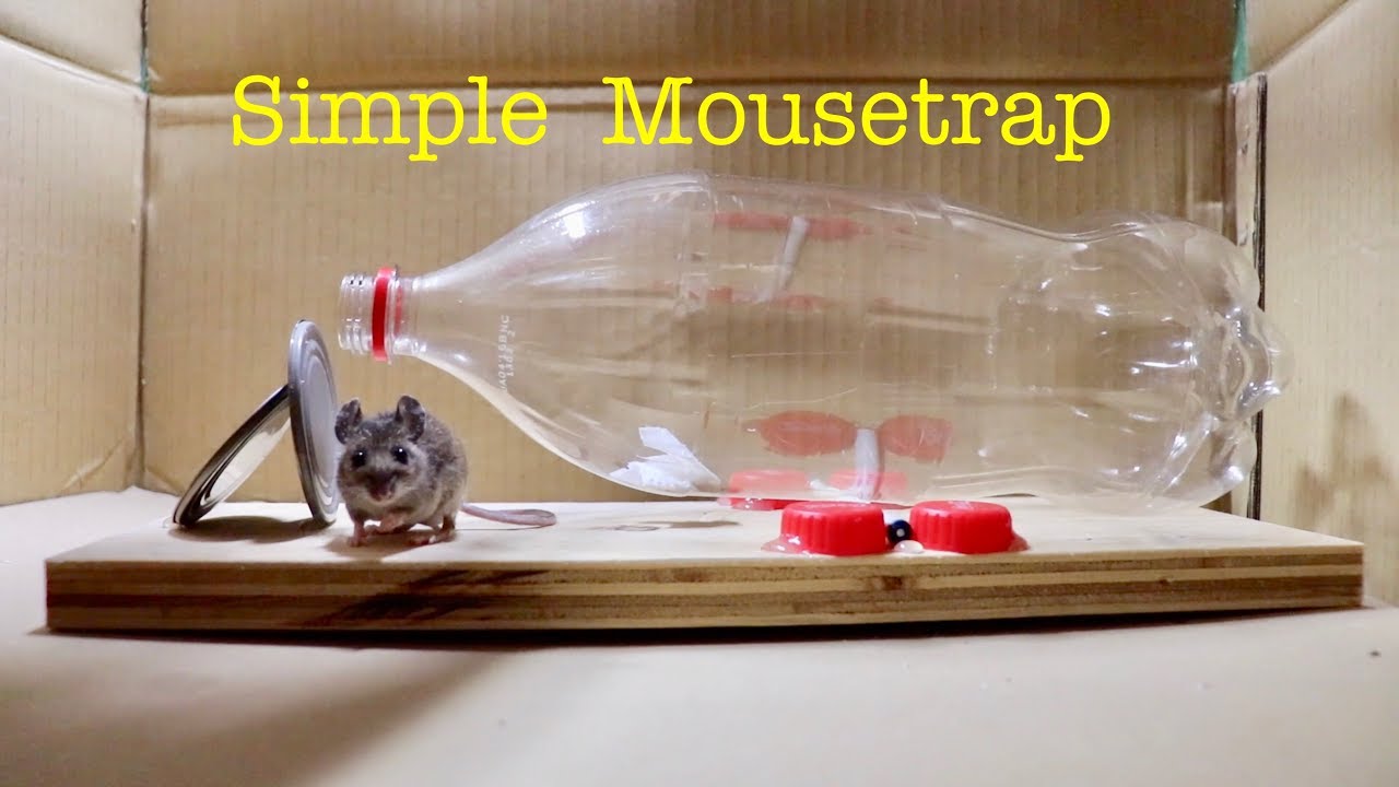 Detail Pic Mousetrap Nomer 34