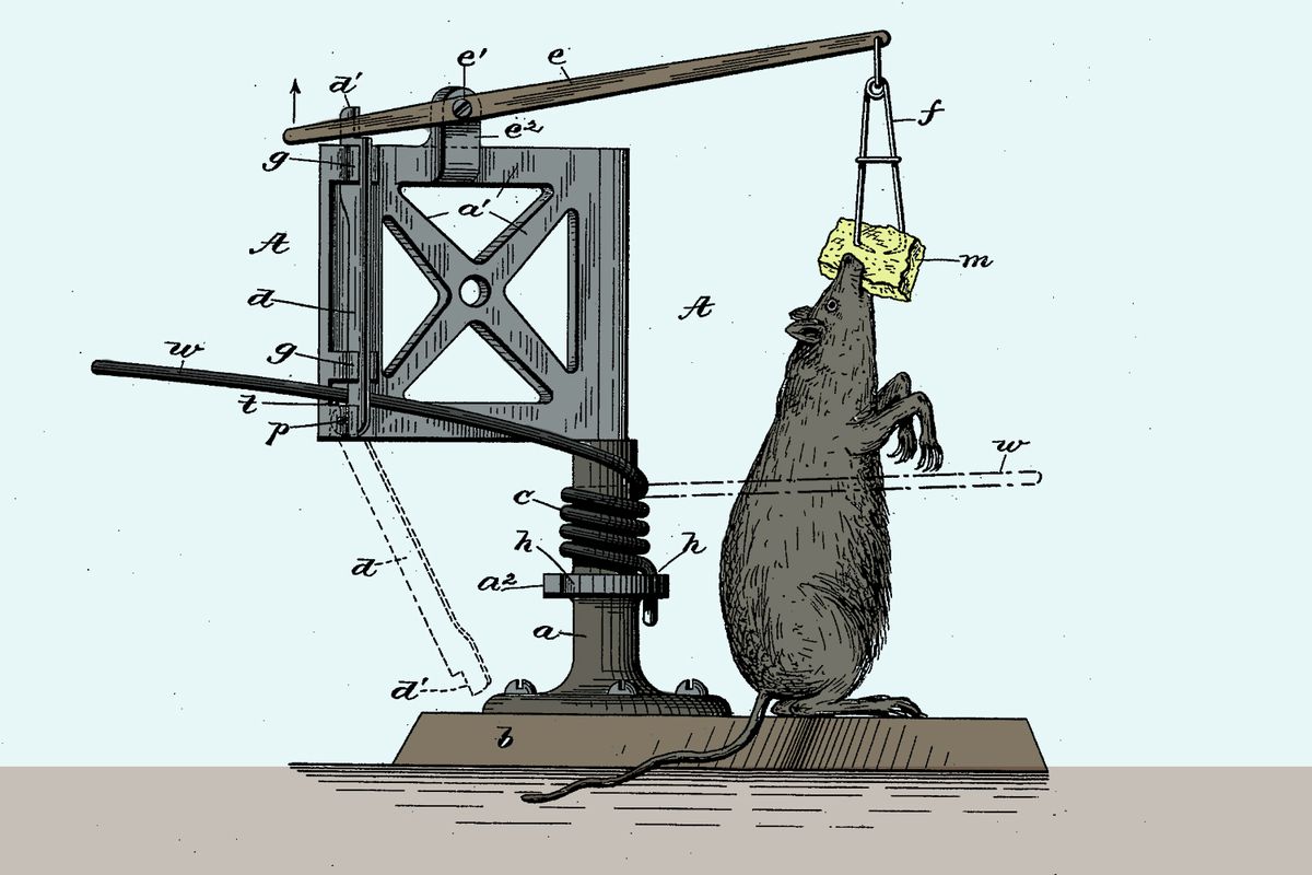 Detail Pic Mousetrap Nomer 38