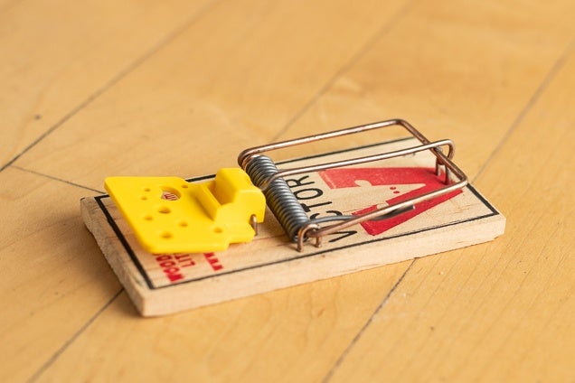 Detail Pic Mousetrap Nomer 5