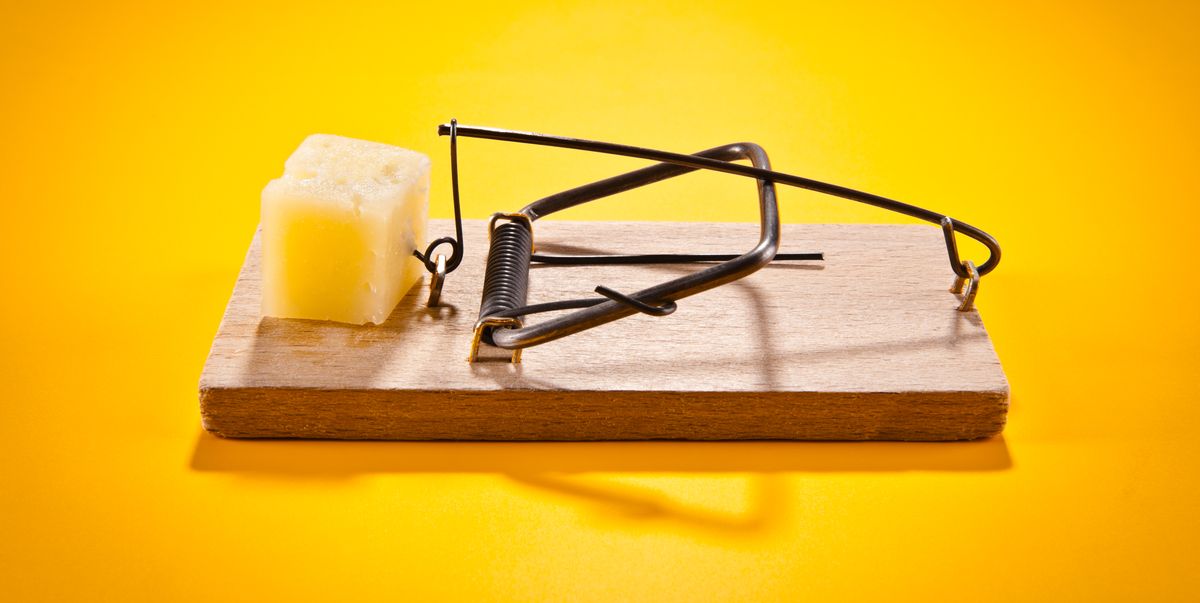 Detail Pic Mousetrap Nomer 7