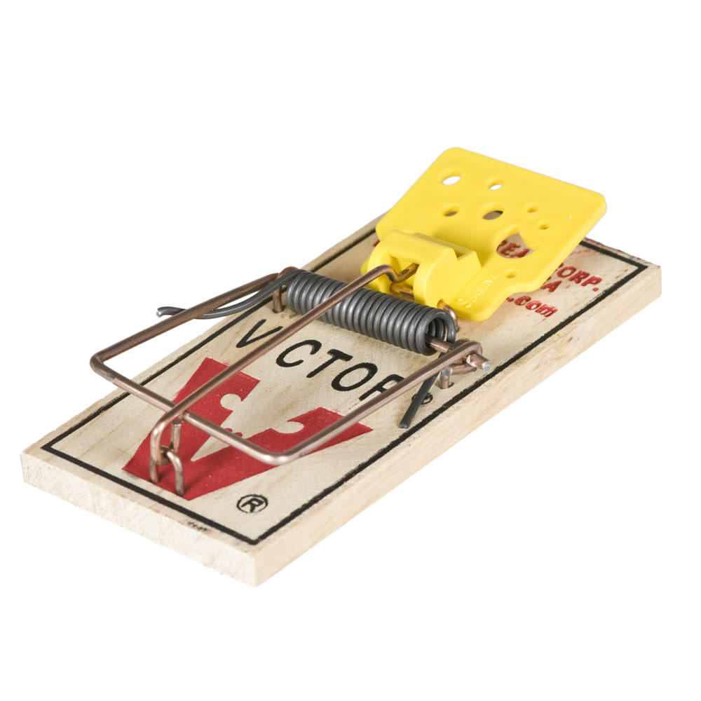 Detail Pic Mousetrap Nomer 9