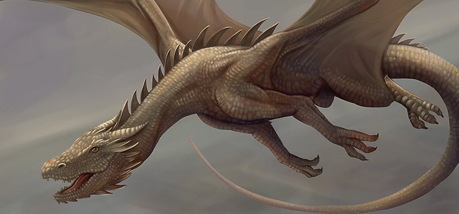 Detail Pic Of A Dragon Nomer 14