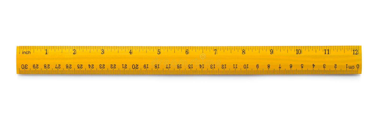 Detail Pic Of A Ruler Nomer 20