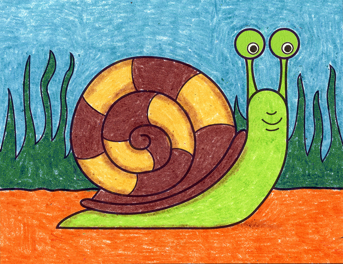 Detail Pic Of A Snail Nomer 12