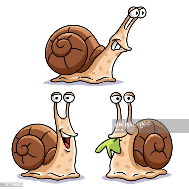 Detail Pic Of A Snail Nomer 30