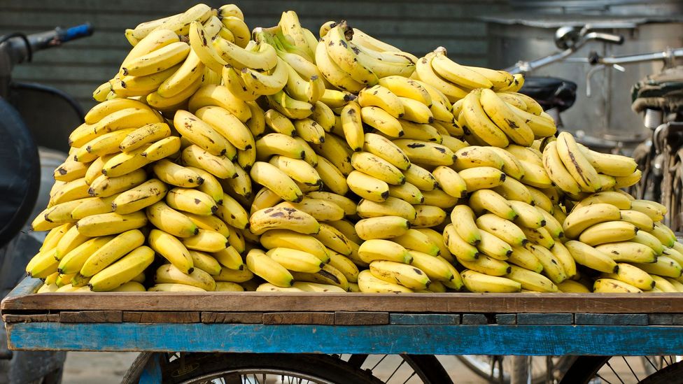 Detail Pic Of Banana Nomer 31
