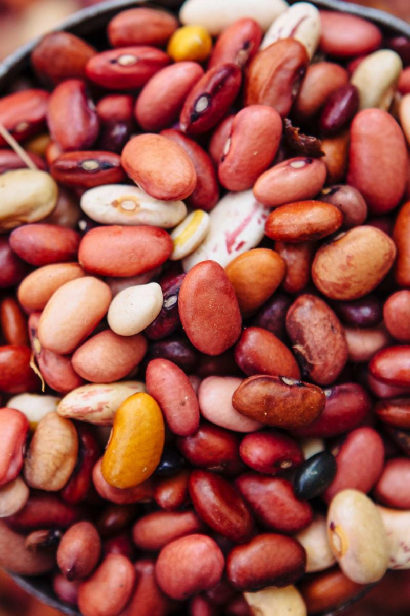 Detail Pic Of Beans Nomer 39