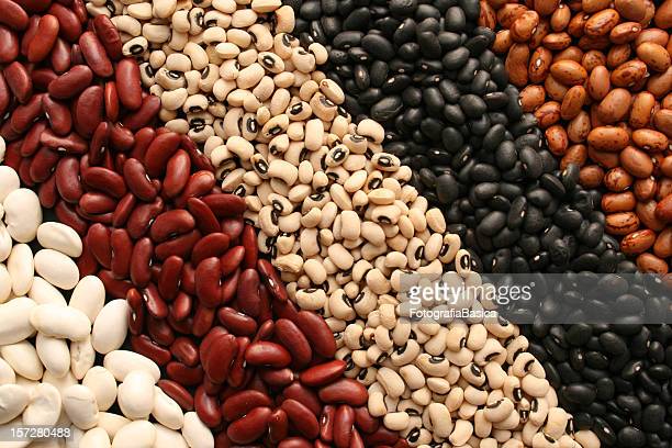 Detail Pic Of Beans Nomer 45